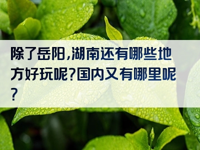 除了岳阳，湖南还有哪些地方好玩呢？国内又有哪里呢？