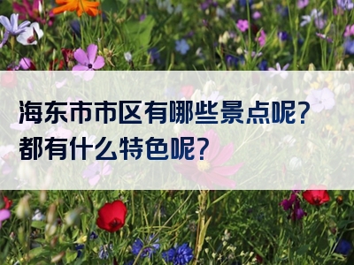 海东市市区有哪些景点呢？都有什么特色呢？