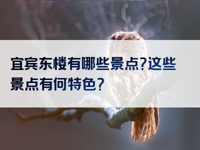 宜宾东楼有哪些景点？这些景点有何特色？