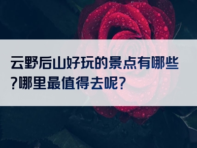 云野后山好玩的景点有哪些？哪里最值得去呢？