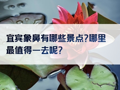 宜宾象鼻有哪些景点？哪里最值得一去呢？