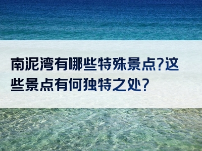 南泥湾有哪些特殊景点？这些景点有何独特之处？