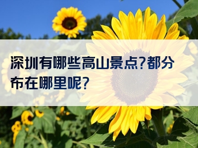 深圳有哪些高山景点？都分布在哪里呢？