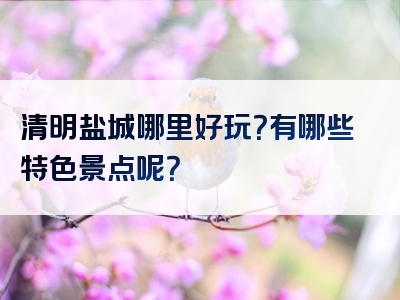 清明盐城哪里好玩？有哪些特色景点呢？