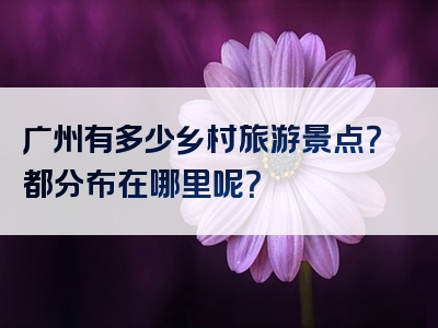 广州有多少乡村旅游景点？都分布在哪里呢？
