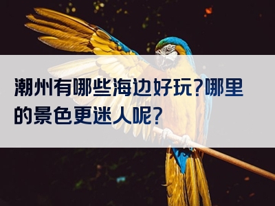 潮州有哪些海边好玩？哪里的景色更迷人呢？