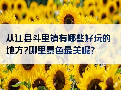从江县斗里镇有哪些好玩的地方？哪里景色最美呢？