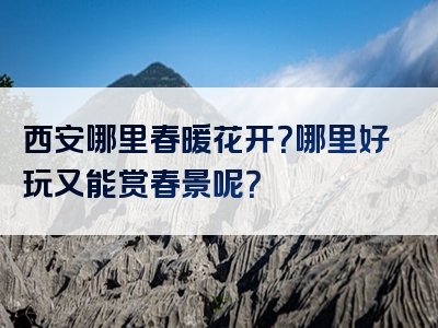 西安哪里春暖花开？哪里好玩又能赏春景呢？