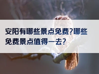 安阳有哪些景点免费？哪些免费景点值得一去？