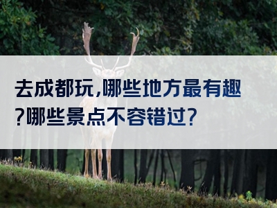 去成都玩，哪些地方最有趣？哪些景点不容错过？