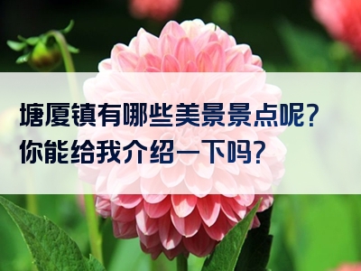 塘厦镇有哪些美景景点呢？你能给我介绍一下吗？