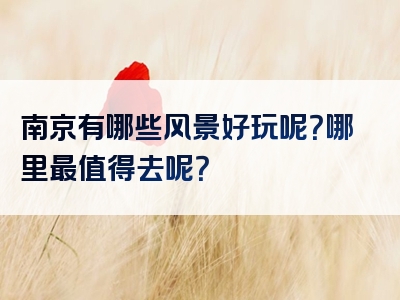 南京有哪些风景好玩呢？哪里最值得去呢？