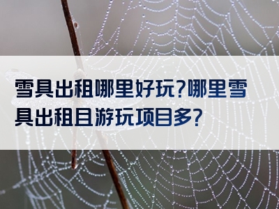 雪具出租哪里好玩？哪里雪具出租且游玩项目多？