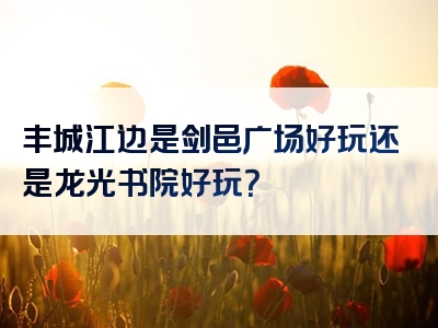 丰城江边是剑邑广场好玩还是龙光书院好玩？