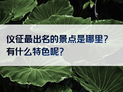 仪征最出名的景点是哪里？有什么特色呢？