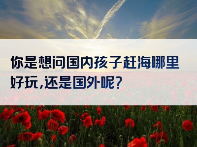 你是想问国内孩子赶海哪里好玩，还是国外呢？