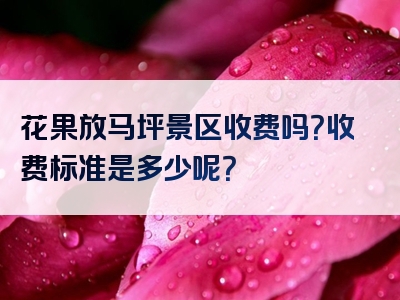 花果放马坪景区收费吗？收费标准是多少呢？