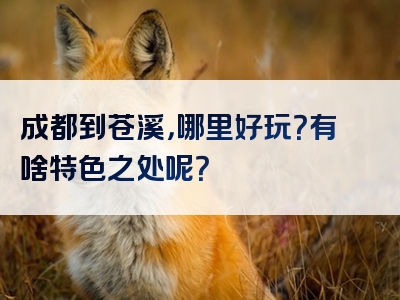 成都到苍溪，哪里好玩？有啥特色之处呢？