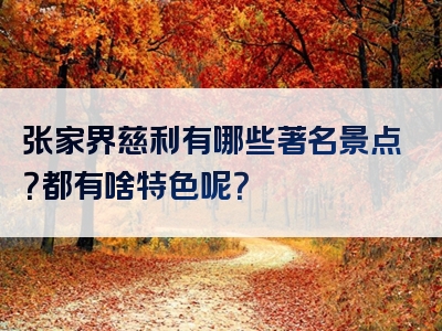 张家界慈利有哪些著名景点？都有啥特色呢？