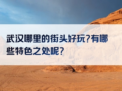 武汉哪里的街头好玩？有哪些特色之处呢？