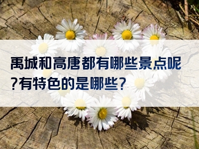 禹城和高唐都有哪些景点呢？有特色的是哪些？