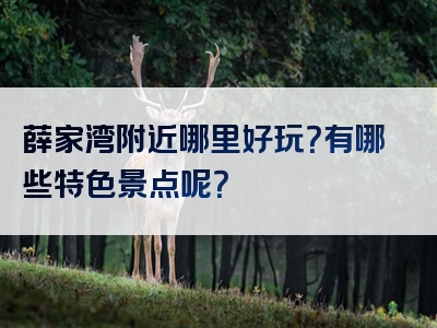 薛家湾附近哪里好玩？有哪些特色景点呢？