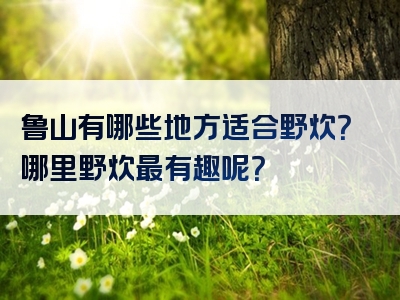 鲁山有哪些地方适合野炊？哪里野炊最有趣呢？