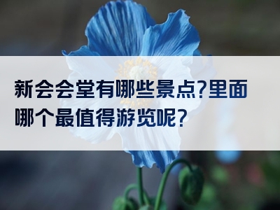 新会会堂有哪些景点？里面哪个最值得游览呢？