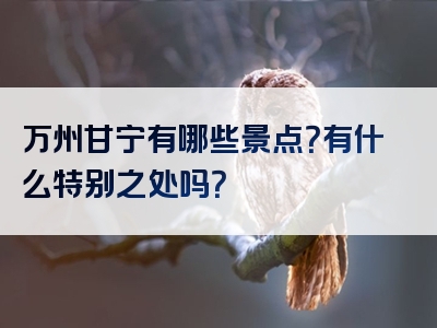万州甘宁有哪些景点？有什么特别之处吗？