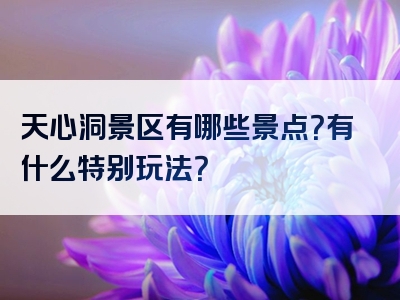 天心洞景区有哪些景点？有什么特别玩法？