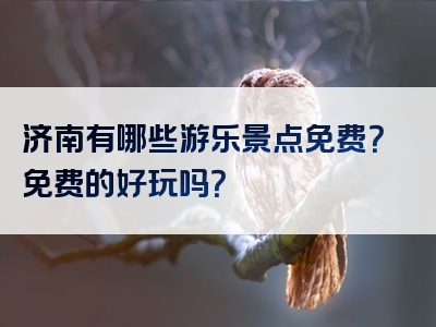 济南有哪些游乐景点免费？免费的好玩吗？