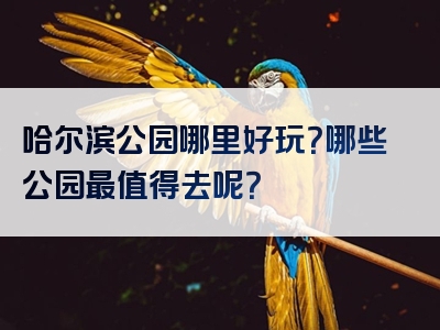 哈尔滨公园哪里好玩？哪些公园最值得去呢？