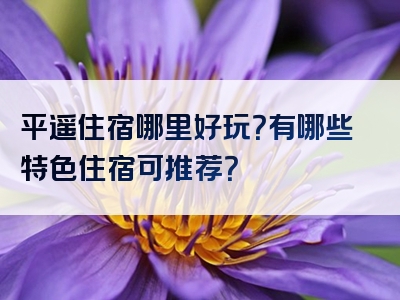 平遥住宿哪里好玩？有哪些特色住宿可推荐？