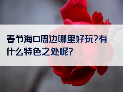春节海口周边哪里好玩？有什么特色之处呢？