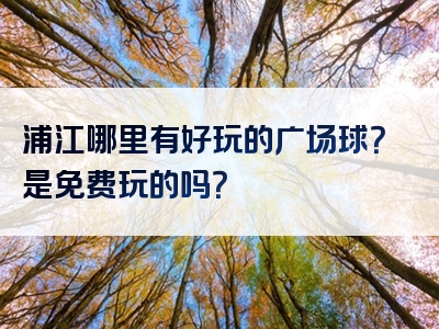 浦江哪里有好玩的广场球？是免费玩的吗？
