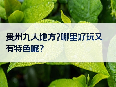 贵州九大地方？哪里好玩又有特色呢？