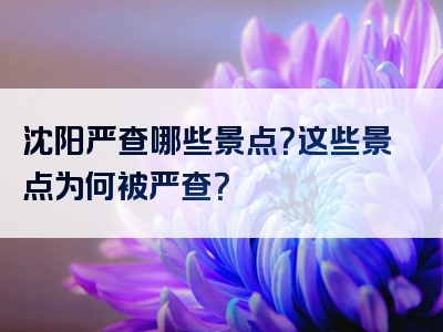 沈阳严查哪些景点？这些景点为何被严查？