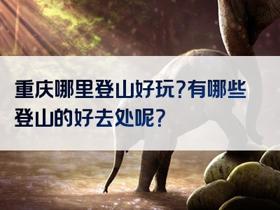 重庆哪里登山好玩？有哪些登山的好去处呢？