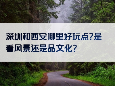深圳和西安哪里好玩点？是看风景还是品文化？