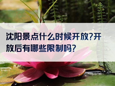 沈阳景点什么时候开放？开放后有哪些限制吗？