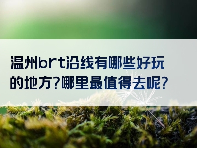 温州brt沿线有哪些好玩的地方？哪里最值得去呢？