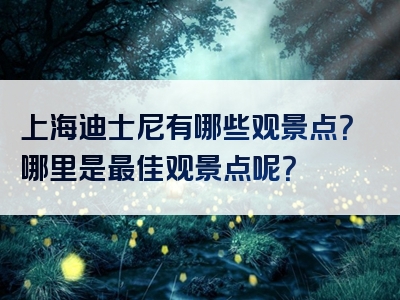 上海迪士尼有哪些观景点？哪里是最佳观景点呢？