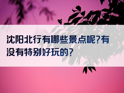 沈阳北行有哪些景点呢？有没有特别好玩的？