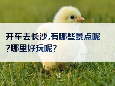 开车去长沙，有哪些景点呢？哪里好玩呢？