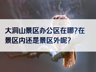 大洞山景区办公区在哪？在景区内还是景区外呢？
