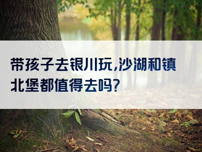 带孩子去银川玩，沙湖和镇北堡都值得去吗？