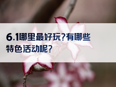 6.1哪里最好玩？有哪些特色活动呢？