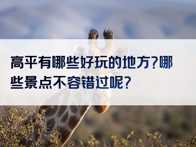 高平有哪些好玩的地方？哪些景点不容错过呢？