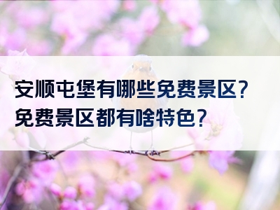 安顺屯堡有哪些免费景区？免费景区都有啥特色？