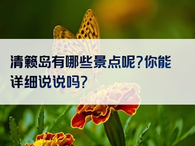清籁岛有哪些景点呢？你能详细说说吗？